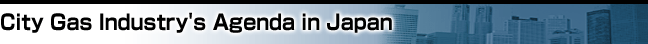 City Gas Industry's Agenda in Japan
