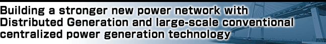 Building a stronger new power network with Distributed Generation and large-scale conventional centralized power generation technology