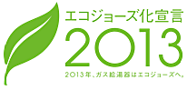 Declaration of the Intent to Standardize Eco-Joez by 2013