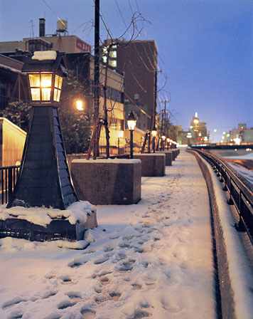 福井県福井市 さくらの小径 2010年1月撮影