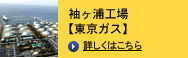 µ������������������