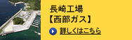 Ĺ�깩�������������