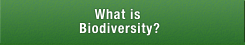 What is Biodiversity?