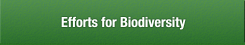 Efforts for Biodiversity