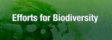 Efforts for Biodiversity