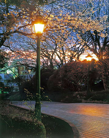 栃木県佐野市 城山公園 2007年4月撮影