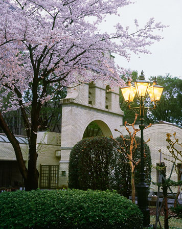 埼玉県さいたま市 さいたま市役所 2011年4月撮影