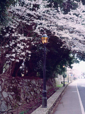 滋賀県大津市 三井寺付近 2004年4月撮影