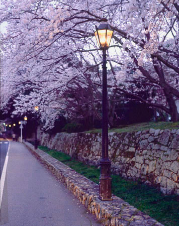 滋賀県大津市 三井寺付近 2004年4月撮影