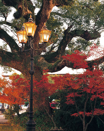佐賀県佐賀市 松原神社 2008年12月撮影