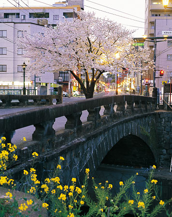 熊本県熊本市 明八橋 2009年3月撮影