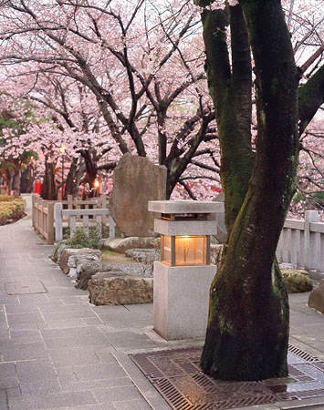 岐阜県大垣市 四季の路むすびの地 2005年4月撮影